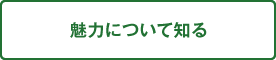 魅力について知る